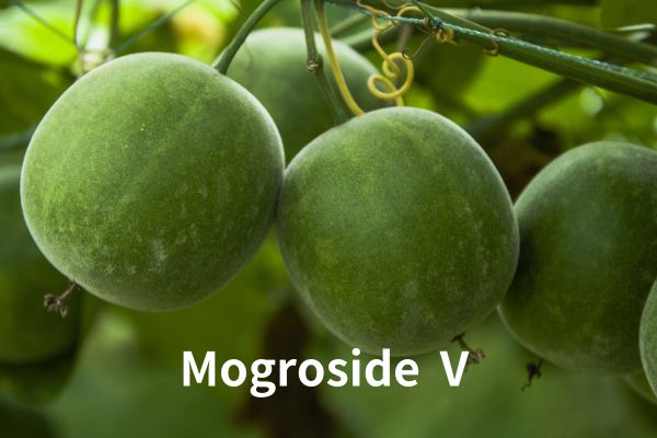 Factory Supply Mogroside Ⅴ Luo Han Guo Extract