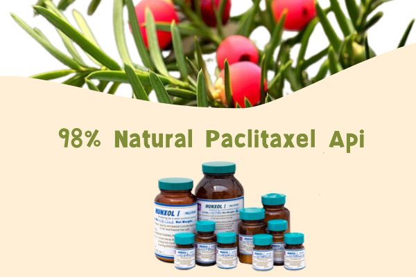 98% Natural Paclitaxel Api