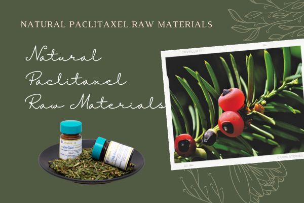 Natural Paclitaxel Raw Materials