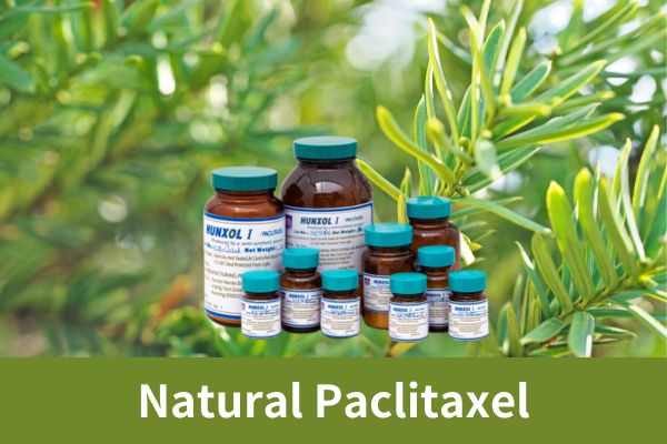 Factory Supply Pharmaceutical Grade Natural Paclitaxel