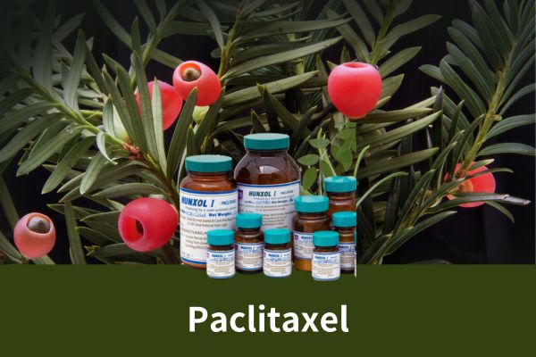 Raw Material Paclitaxel Plant Extract Paclitaxel 99% Purity Paclitaxel Powder