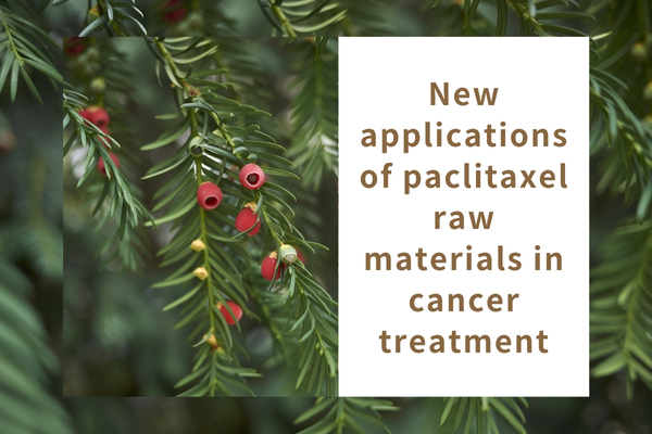 New applications of paclitaxel raw materials in cancer treatment