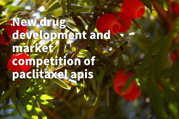 New drug development and market competition of paclitaxel apis