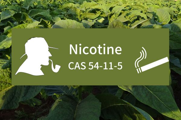 Nicotine CAS 54-11-5 Main chemical components of cigarettes