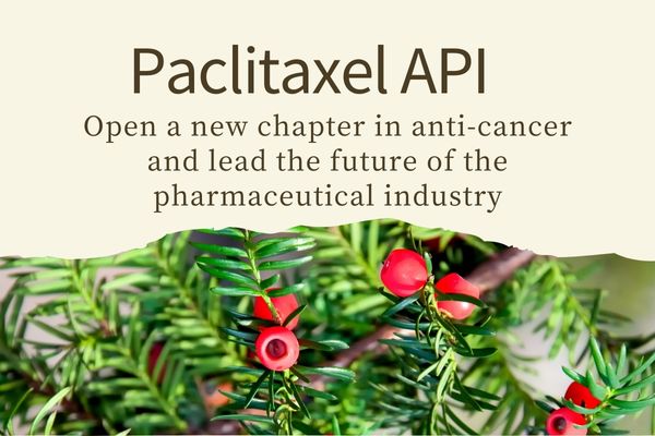 Paclitaxel API:Open a new chapter in anti-cancer and lead the future of the pharmaceutical industry