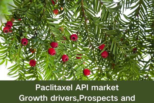 Paclitaxel API market:Growth drivers,Prospects and Challenges