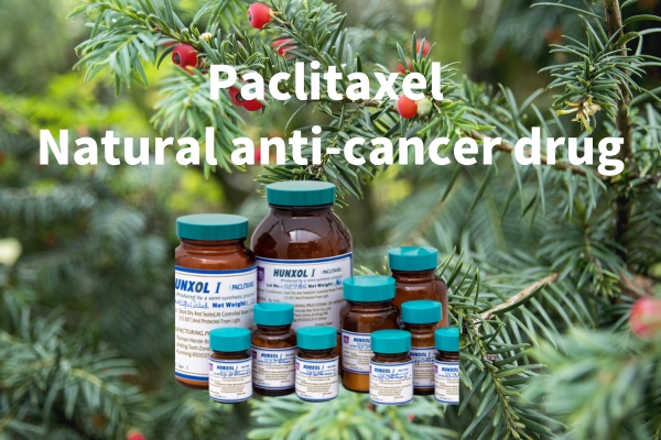 Paclitaxel Natural anti-cancer drug
