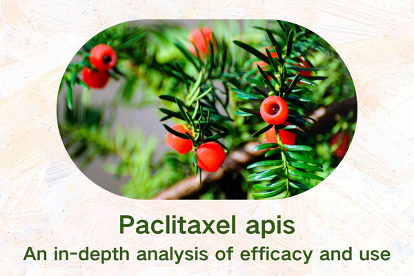 Paclitaxel apis:An in-depth analysis of efficacy and use