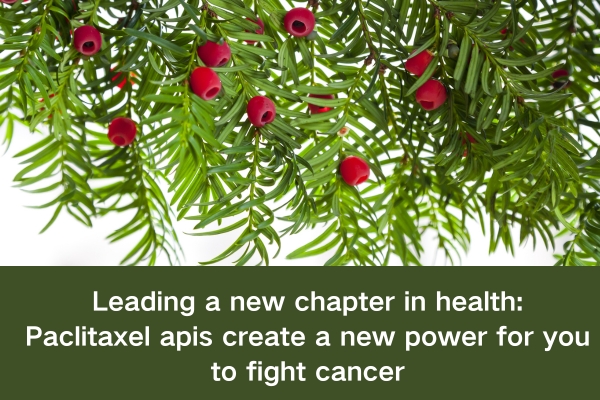 Leading a new chapter in health: Paclitaxel apis create a new power for you to fight cancer