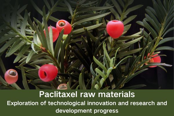 Paclitaxel raw materials:Exploration of technological innovation and research and development progress