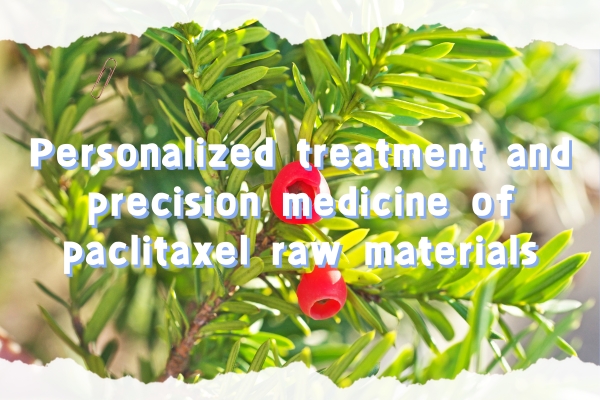 Personalized treatment and precision medicine of paclitaxel raw materials