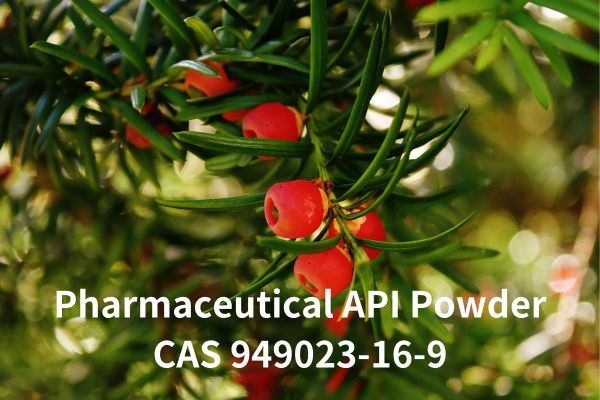 Pharmaceutical API Powder CAS 949023-16-9 99%