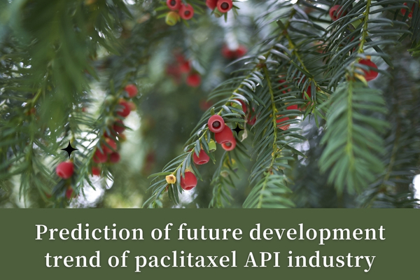 Prediction of future development trend of paclitaxel API industry