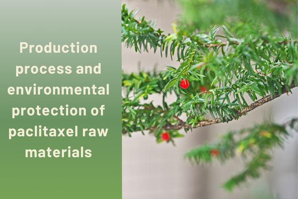 Production process and environmental protection of paclitaxel raw materials