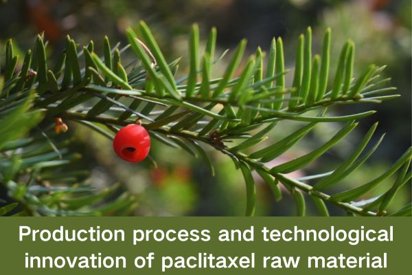 Production process and technological innovation of paclitaxel raw material