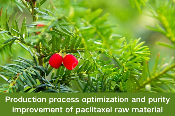 Production process optimization and purity improvement of paclitaxel raw material