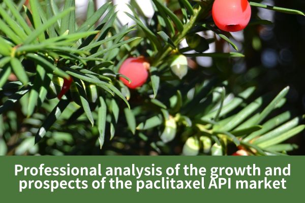 Professional analysis of the growth and prospects of the paclitaxel API market