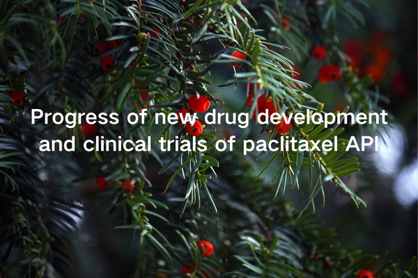 Progress of new drug development and clinical trials of paclitaxel API