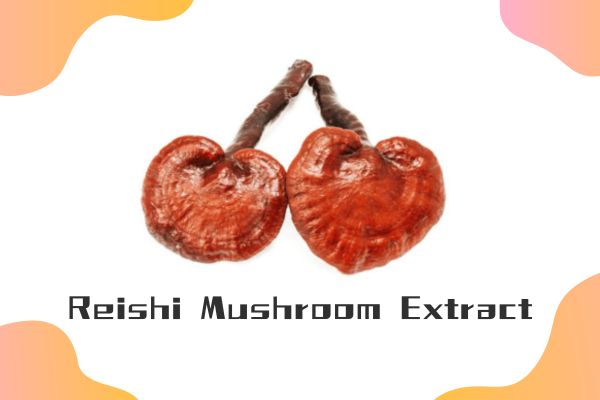 High Quality Reishi Mushroom Extract Lingzhi Mushroom Extract