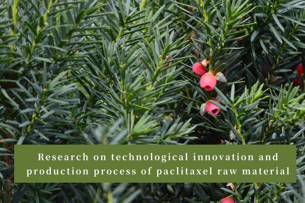 Research on technological innovation and production process of paclitaxel raw material