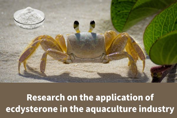 Research on the application of ecdysterone in the aquaculture industry