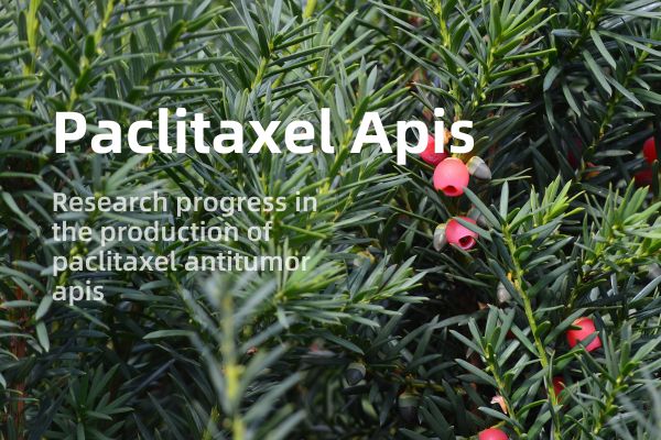 Research progress in the production of paclitaxel antitumor apis