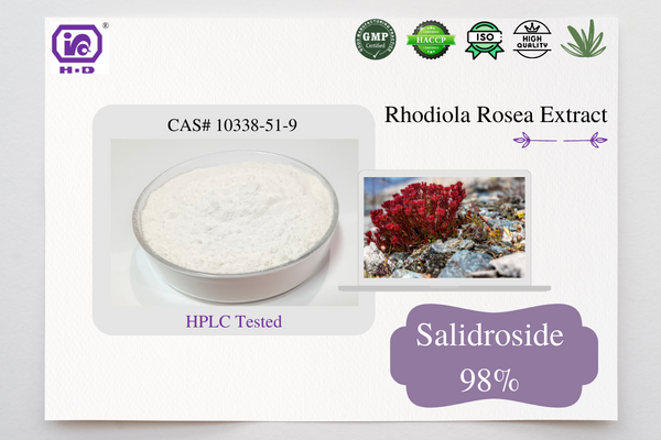 Rhodiola Rosea Extract  Salidroside 98%  Cosmetic raw materials