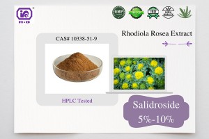 Salidroside 5% – 10% rhodiola extract pharmaceutical raw materials