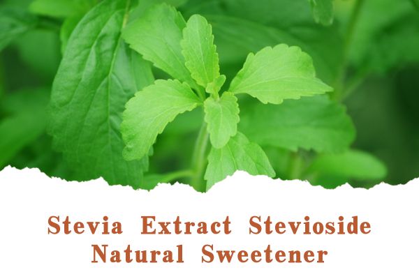 Stevia Extract Stevioside Natural Sweetener