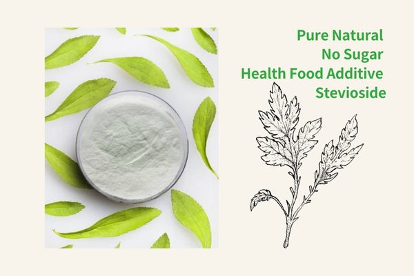 Pure Natural No Sugar Health Food Additive Stevioside