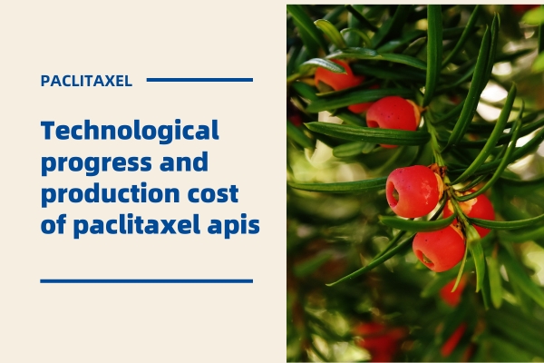 Technological progress and production cost of paclitaxel apis