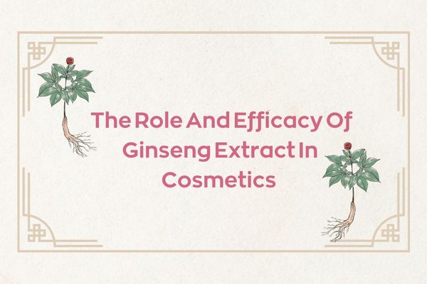 The Role And Efficacy Of Ginseng Extract In Cosmetics