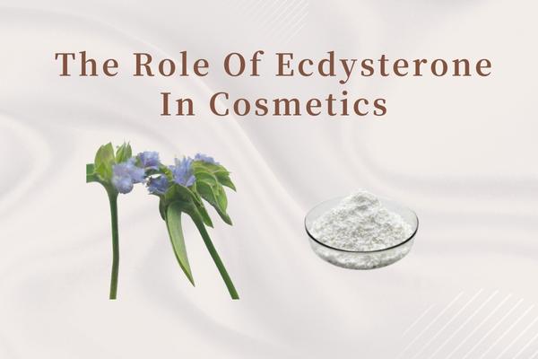 The role of Ecdysterone in cosmetics