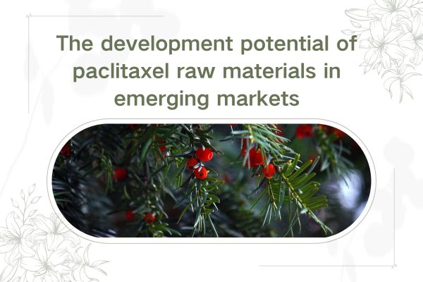The development potential of paclitaxel raw materials in emerging markets