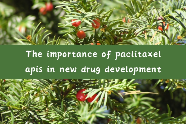 The importance of paclitaxel apis in new drug development
