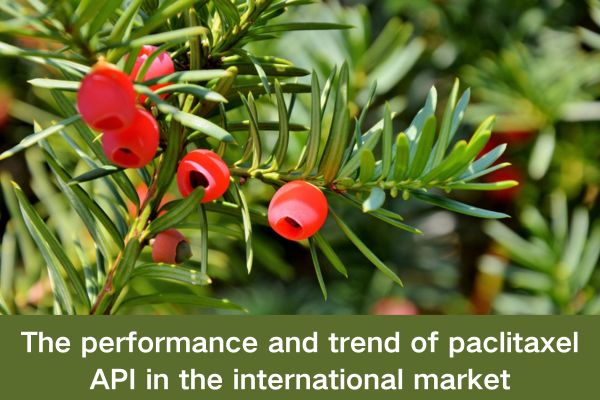 The performance and trend of paclitaxel API in the international market