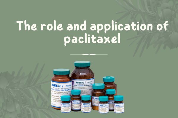 The role and application of paclitaxel