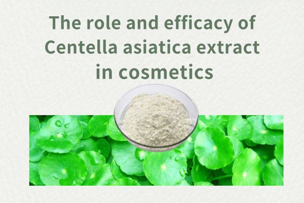 The role and efficacy of Centella asiatica extract in cosmetics