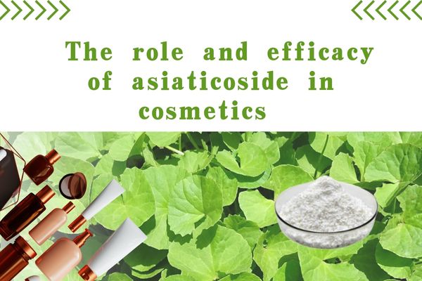 The role and efficacy of asiaticoside in cosmetics