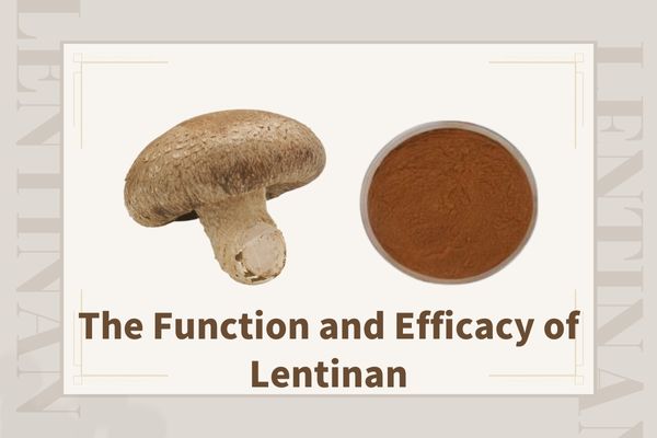 The Function and efficacy of lentinan