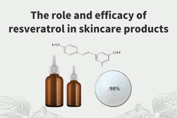 The role and efficacy of resveratrol in skincare products