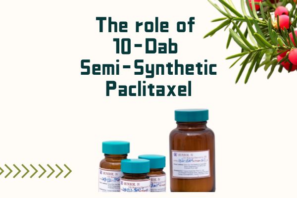 The role of 10-Dab Semi-Synthetic Paclitaxel