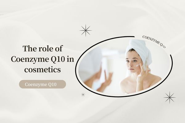 The role of Coenzyme Q10 in cosmetics