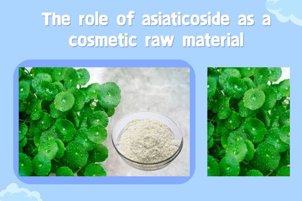 The role of asiaticoside as a cosmetic raw material