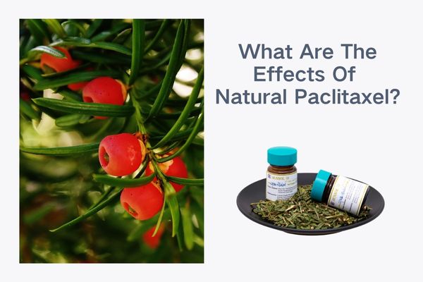 What are the effects of natural paclitaxel?