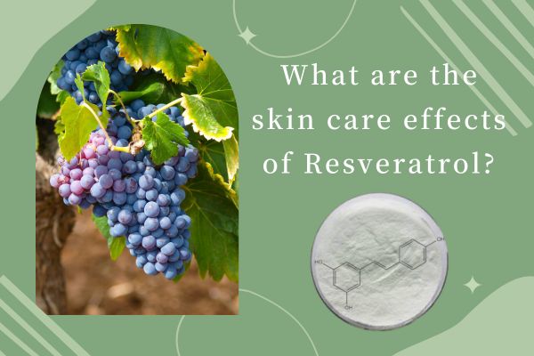 What are the skin care effects of Resveratrol?