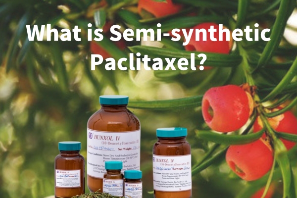 What is Semi-synthetic Paclitaxel?