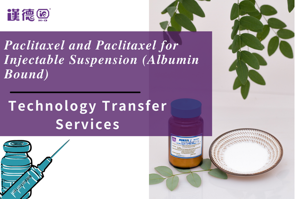 What is the Relationship between Paclitaxel and Paclitaxel for Injectable Suspension(Albumin Bound)?