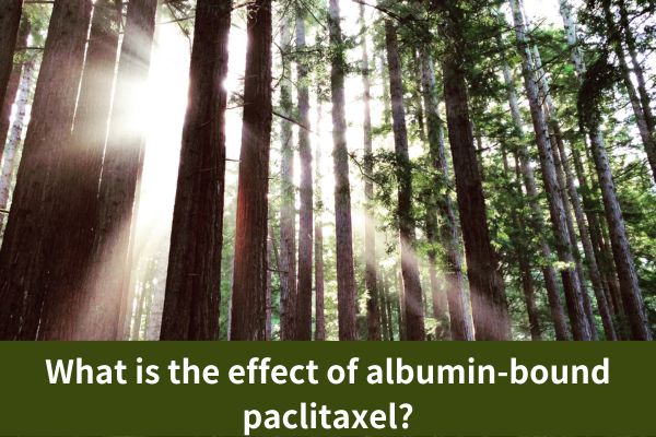 What is the effect of albumin-bound paclitaxel?