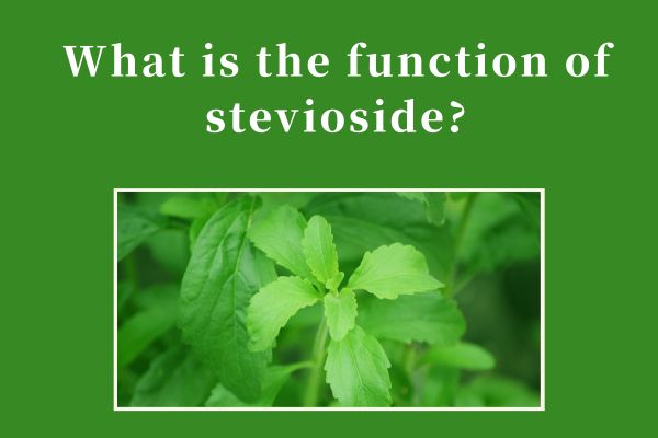 What is the function of stevioside?